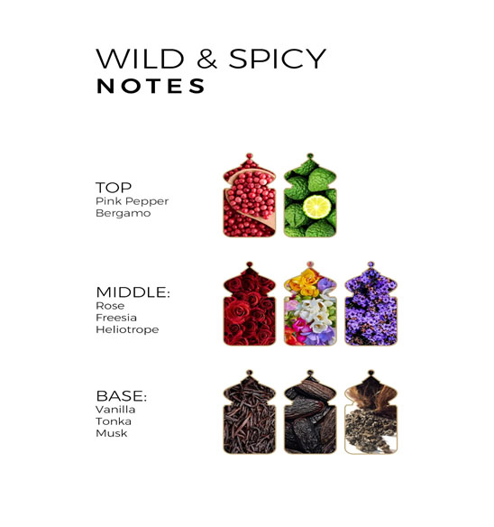 WILD & SPICY Eau de Parfum pour Homme 100ml